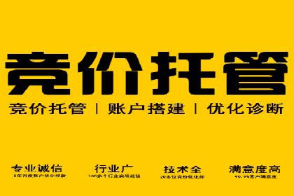 案例解析：SEM助力电商行业快速发展